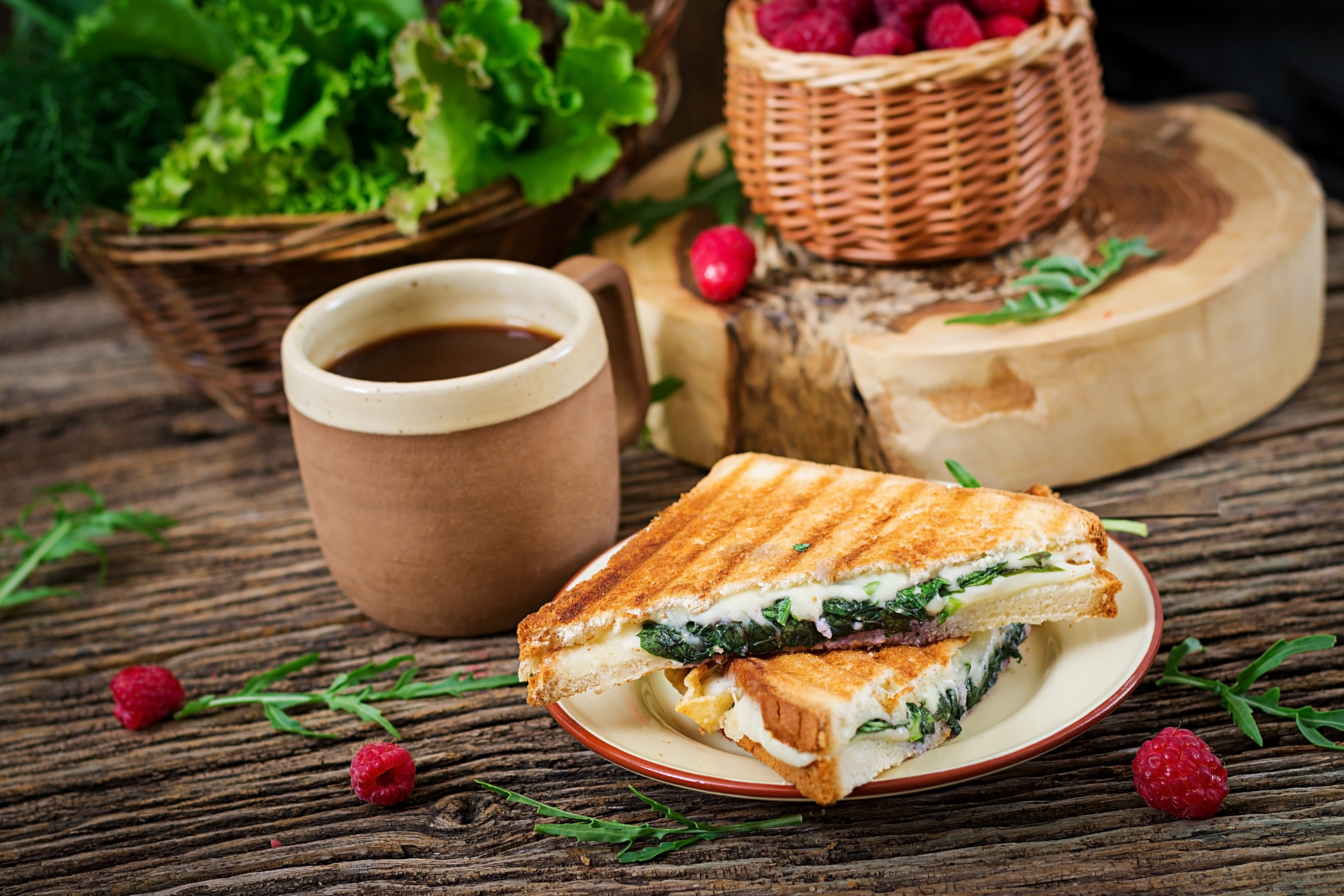 Garden Fresh Panini